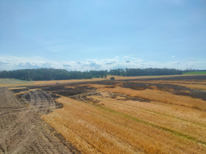 Hasiče dál zaměstnávají požáry. U Dačic hořelo pole, škoda je přes dva miliony korun