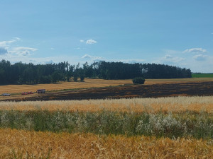 Hasiče dál zaměstnávají požáry. U Dačic hořelo pole, škoda je přes dva miliony korun