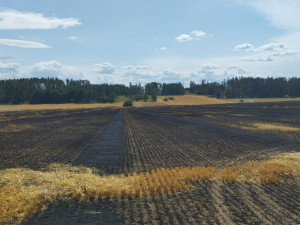 Hasiče dál zaměstnávají požáry. U Dačic hořelo pole, škoda je přes dva miliony korun