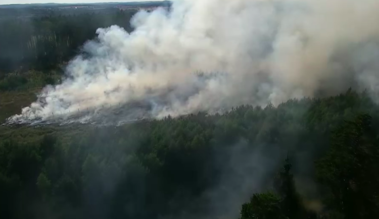 Na Písecku hoří třicet hektarů lesa. Požár stále není pod kontrolou hasičů
