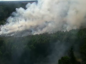 Na Písecku hoří třicet hektarů lesa. Požár stále není pod kontrolou hasičů