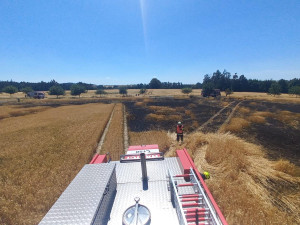 Na Písecku hoří třicet hektarů lesa. Požár stále není pod kontrolou hasičů