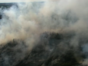 Na Písecku hoří třicet hektarů lesa. Požár stále není pod kontrolou hasičů