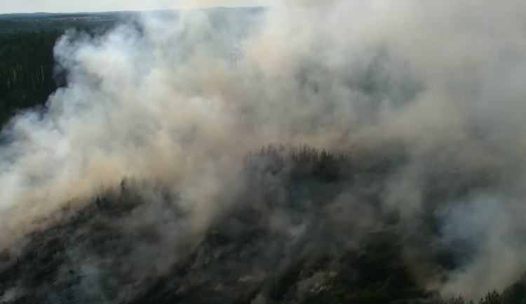 Požár lesa na Písecku mají hasiči pod kontrolou. Pět se jich zranilo