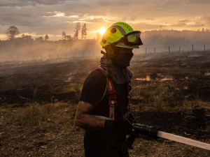 Hasiči dále likvidují požár lesa na Písecku. Snížili stupeň požárního poplachu