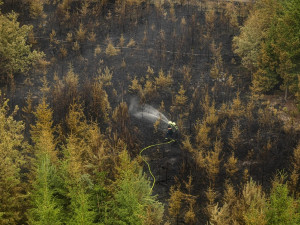 Hasiči dále likvidují požár lesa na Písecku. Snížili stupeň požárního poplachu