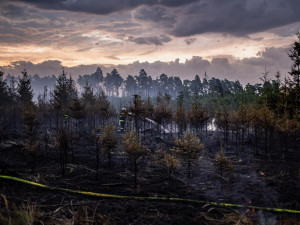 Hasiči dále likvidují požár lesa na Písecku. Snížili stupeň požárního poplachu