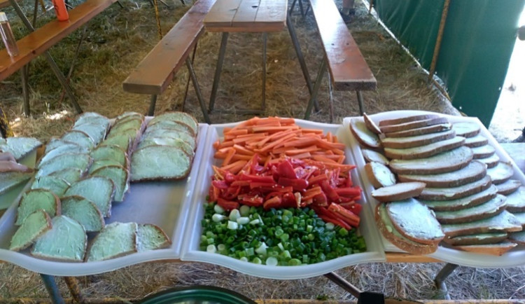 Hygienici kontrolovali dětské tábory v Olomouckém kraji. Odhalili pouze krátkodobé zažívací potíže