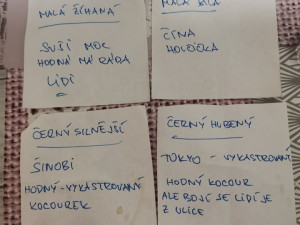 Zavřeli je do tašky a pohodili u cyklostezky. Kočky nakonec skončily v útulku