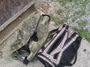Zavřeli je do tašky a pohodili u cyklostezky. Kočky nakonec skončily v útulku