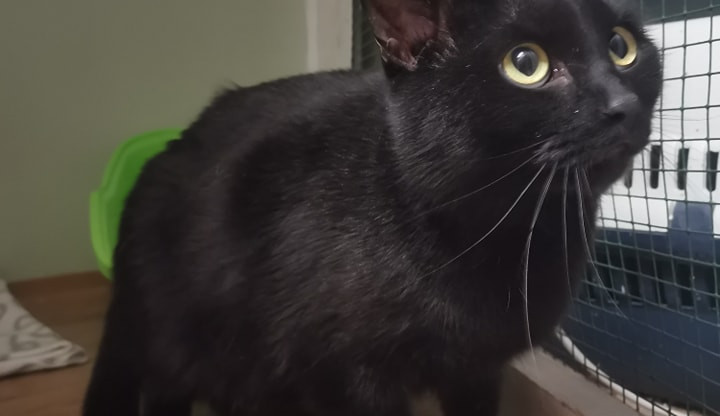 362231450_670203101806738_4562076102044181738_n