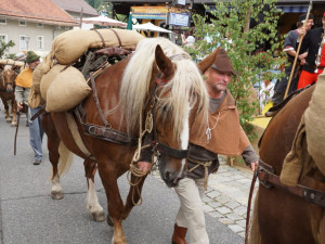 Šumavští středověcí soumaři půjdou poprvé s koňmi a obilím z Rakouska do Německa