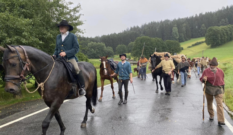 Šumavští středověcí soumaři půjdou poprvé s koňmi a obilím z Rakouska do Německa