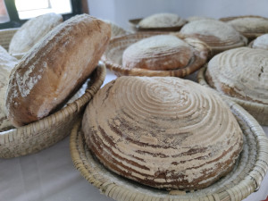 Objevte Vodní mlýn Hoslovice: Klenot minulosti českého venkova