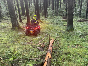 Při obrovské pátrací akci po ztraceném autistovi najezdili horští záchranáři přes 1000 kilometrů