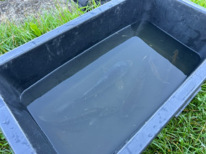 Město chce vyčistit vodu v Bagru. Pomoct s tím má vědecký průzkum nádrže