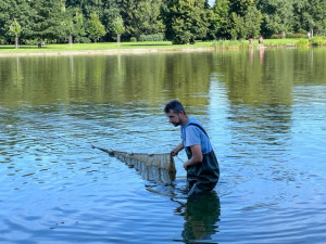 Město chce vyčistit vodu v Bagru. Pomoct s tím má vědecký průzkum nádrže
