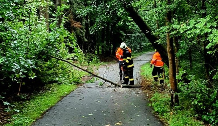 Hasiči řešili kvůli bouřkám hlavně popadané stromy. Na některých místech nejezdí vlaky