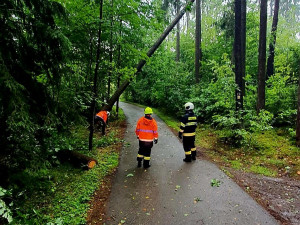 Hasiči řešili kvůli bouřkám hlavně popadané stromy. Na některých místech nejezdí vlaky