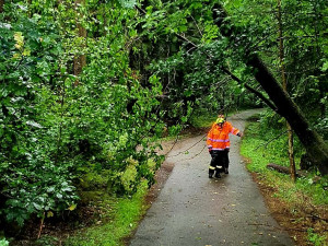 Hasiči řešili kvůli bouřkám hlavně popadané stromy. Na některých místech nejezdí vlaky