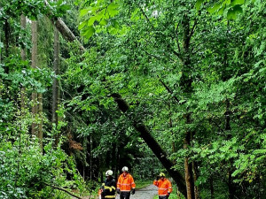 Hasiči řešili kvůli bouřkám hlavně popadané stromy. Na některých místech nejezdí vlaky