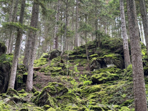 Cesta na Sedlo vede i mezi tajemnými skalami