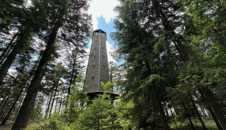 Rozhledna na Sedle je celá ze dřeva. Je z ní nejkrásnější výhled na hrad Kašperk