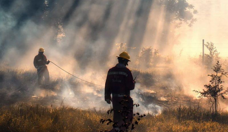 Studie má ukázat lokality, kde mohou hrozit velké lesní požáry. Kraj za ni zaplatí 300 tisíc korun