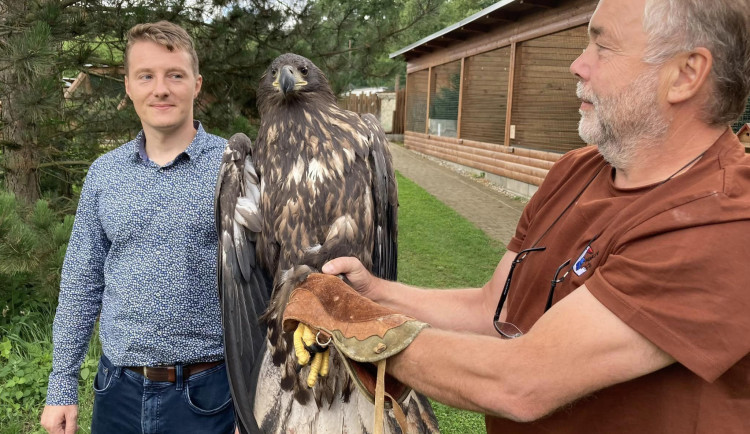 Zvíře se do přírody vrátilo před několika dny.