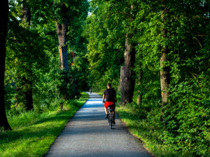 Aktivní pohoda v jižních Čechách? A už jste zkusili elektrokolo?