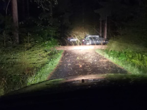 Strom, který spadl na Lipensku. Foto: Petra Kadlecová