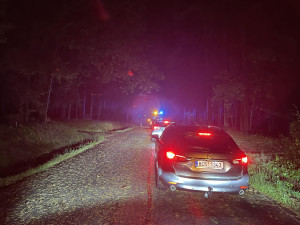 Bouře zasáhla jih republiky. Vlaky stojí, strojvedoucí zabránil střetu se stromem