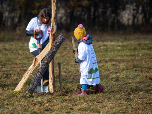Sázení nových stromů je pro PENNY sázka na budoucnost