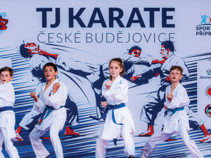 V DOC Mercury se koná Festival zájmových kroužků pro děti