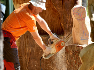 Dřevosochařské sympozium je tady, v Zoo Hluboká