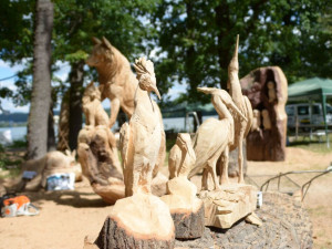 Dřevosochařské sympozium je tady, v Zoo Hluboká