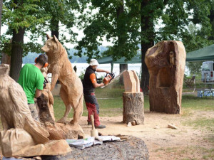 Dřevosochařské sympozium je tady, v Zoo Hluboká