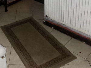 Policie vyšetřuje násilný trestný čin v Dolním Dvořišti. Obětí je čtyřiačtyřicetiletá žena