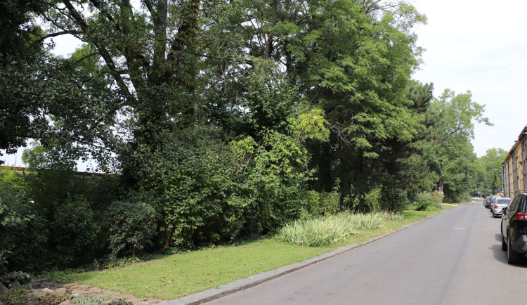 Na Strhanci v Přerově půjdou k zemi desítky stromů. Vedle vznikne zelená oáza s vodní pumpou a rybníčky