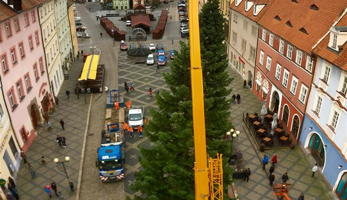 Cheb hledá strom, který na Vánoce ozdobí náměstí Krále Jiřího z Poděbrad