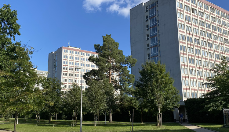 Koleje v areálu univerzity.