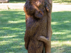 Dřevosochařské sympozium proběhlo před areálem Jihočeské zoologické zahrady