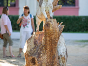 Dřevosochařské sympozium proběhlo před areálem Jihočeské zoologické zahrady