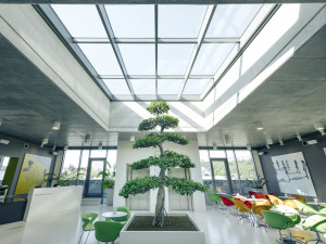 Protonovou radioterapií léčí pacienty již od roku 2012 Protonové centrum v Praze.