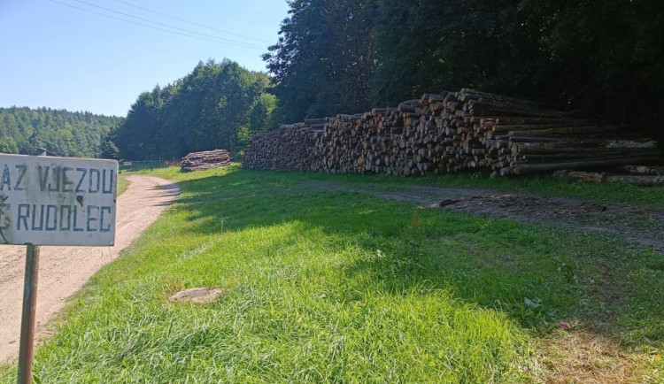 Rozdíl v těžbě a prodeji obecního dřeva v Českém Rudolci řeší policie