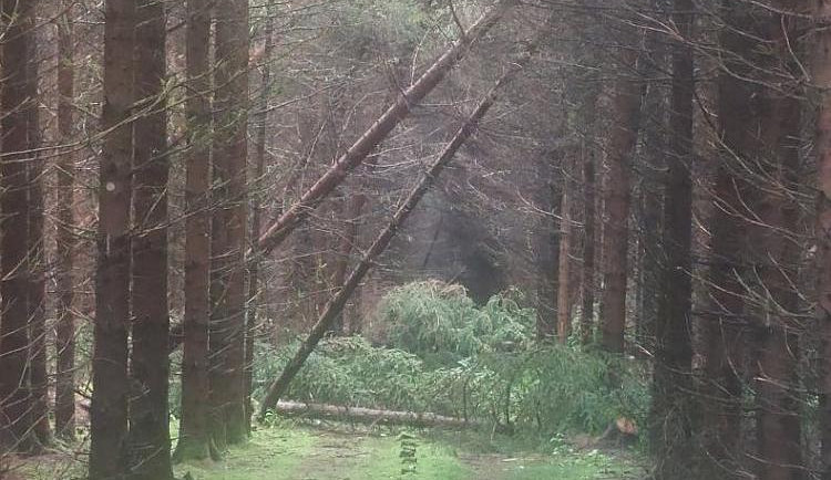 Český Krumlov stále odklízí následky srpnové bouře. Polámala stromy o objemu až 800 kubíků