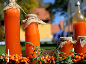 Hody s plody podzimu - tradiční podzimní slavnosti v Klášteře Borovany se konají v sobotu 7. října