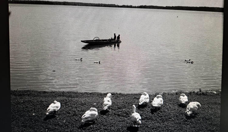 Třeboň představuje tvorbu Václava Chocholy Venkov & Periférie.