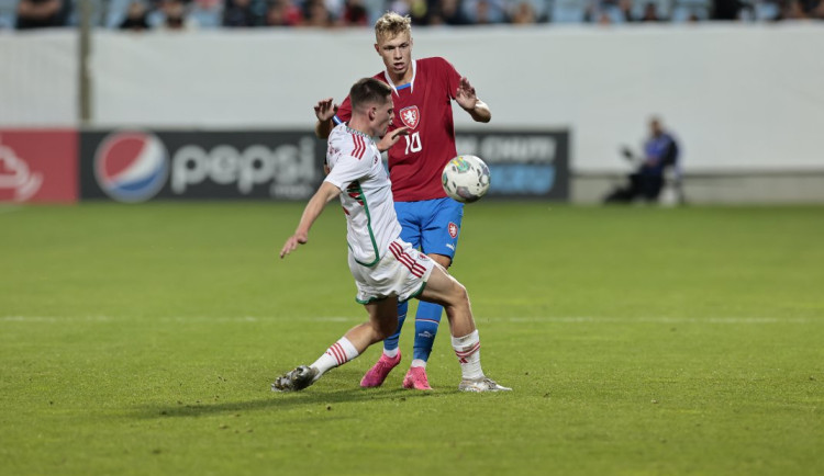 Lvíčata na Střeleckém ostrově remizovala s Walesem