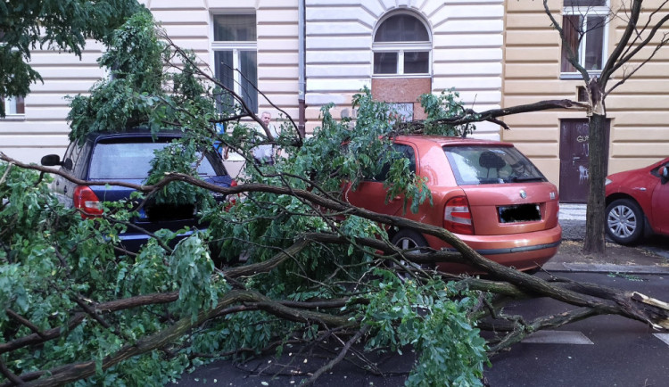 Meteorologové varují před silným větrem, přinese chladnější počasí i přízemní mrazíky